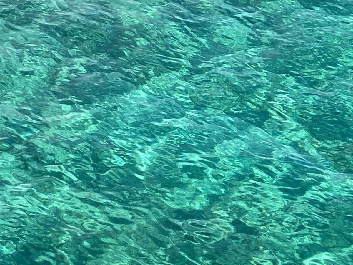 Ksquared Διαμέρισμα Πρωταράς Εξωτερικό φωτογραφία