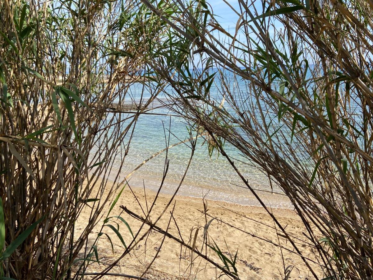 Ksquared Διαμέρισμα Πρωταράς Εξωτερικό φωτογραφία